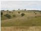 Mudgee NSW 2850