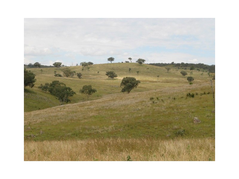 Mudgee NSW 2850