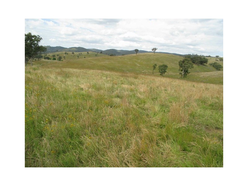 Mudgee NSW 2850