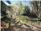 Mudgee NSW 2850