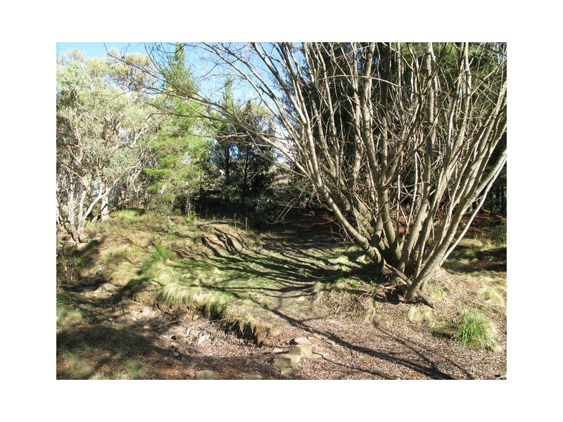 Mudgee NSW 2850