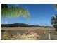 Mudgee NSW 2850