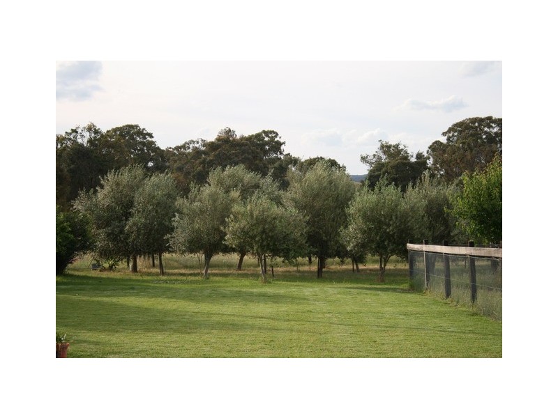 Mudgee NSW 2850