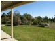 Gulgong NSW 2852