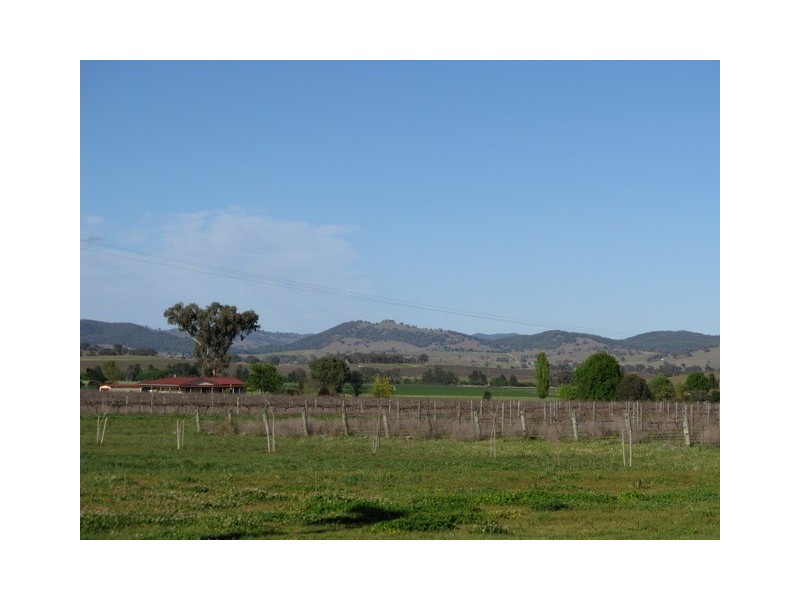 Mudgee NSW 2850
