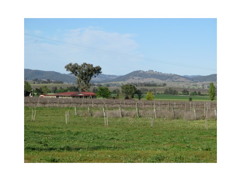 Mudgee NSW 2850