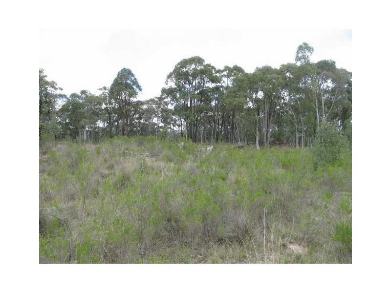 Lot 15 McMasters Road, Mudgee NSW 2850