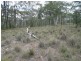 Lot 15 McMasters Road, Mudgee NSW 2850