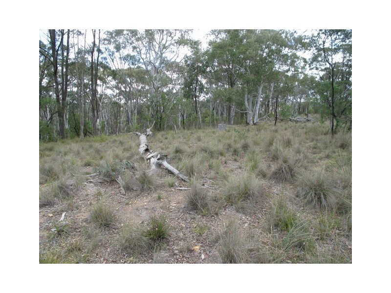 Lot 15 McMasters Road, Mudgee NSW 2850
