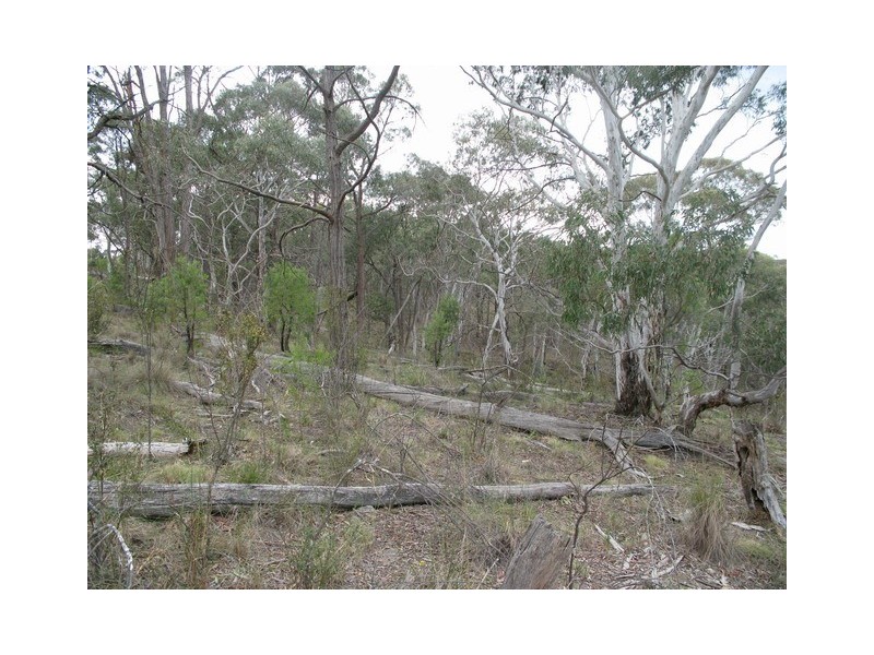 Lot 15 McMasters Road, Mudgee NSW 2850
