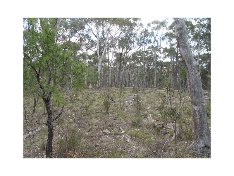 Lot 15 McMasters Road, Mudgee NSW 2850