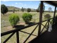 Mudgee NSW 2850