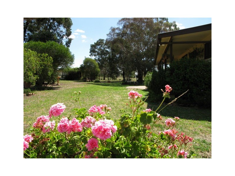 Mudgee NSW 2850