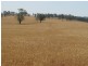 Lot 3 Mebul Road, Mudgee NSW 2850