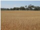 Lot 3 Mebul Road, Mudgee NSW 2850