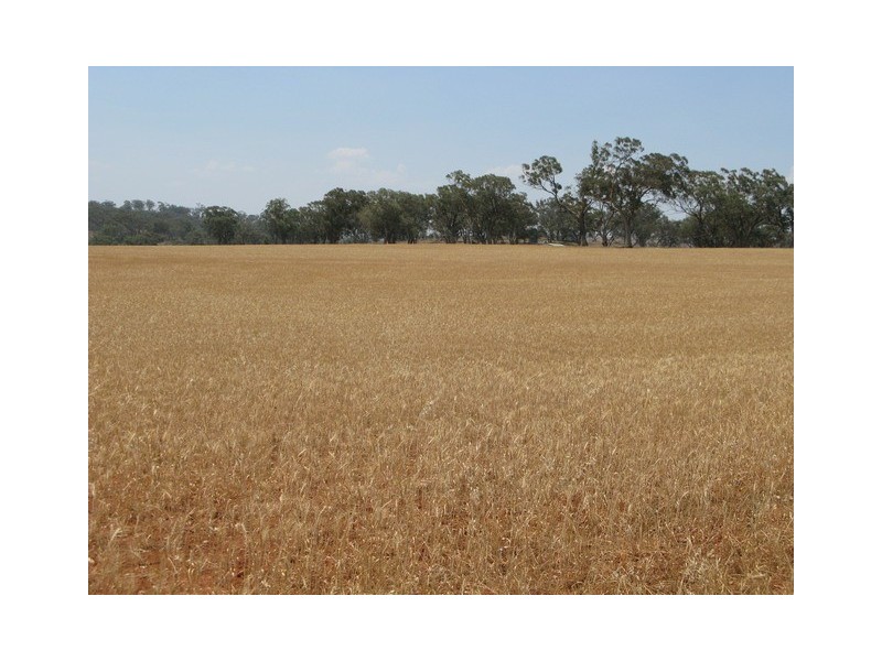 Lot 3 Mebul Road, Mudgee NSW 2850