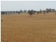 Lot 3 Mebul Road, Mudgee NSW 2850