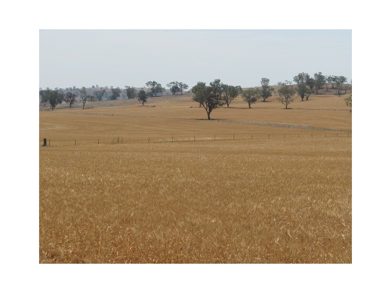 Lot 3 Mebul Road, Mudgee NSW 2850
