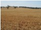 Lot 3 Mebul Road, Mudgee NSW 2850