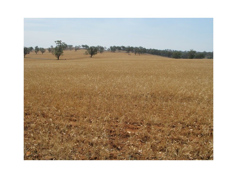 Lot 3 Mebul Road, Mudgee NSW 2850