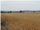 Lot 3 Mebul Road, Mudgee NSW 2850