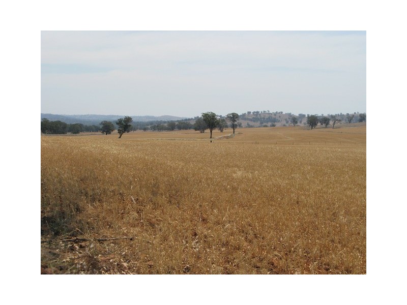 Lot 3 Mebul Road, Mudgee NSW 2850