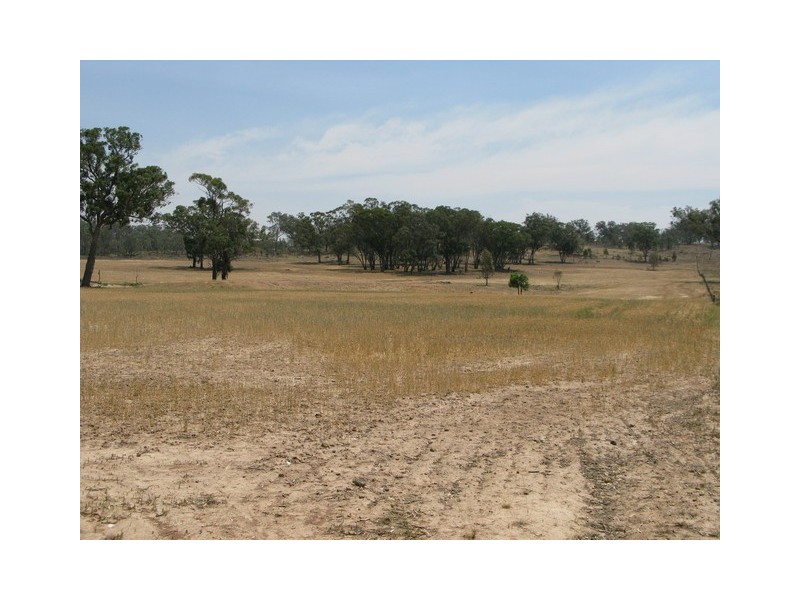 Lot 3 Mebul Road, Mudgee NSW 2850