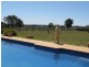 Mudgee NSW 2850