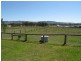 Mudgee NSW 2850