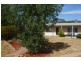 Hargraves NSW 2850