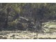 Hargraves NSW 2850