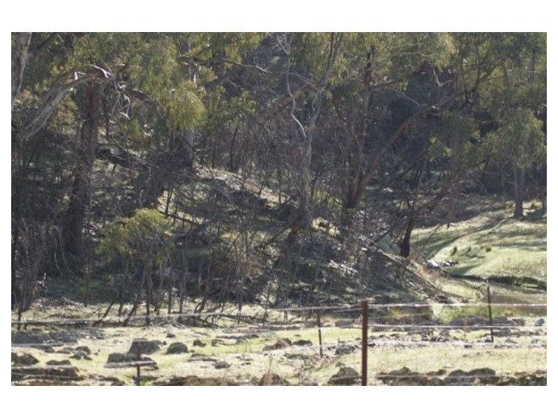 Hargraves NSW 2850