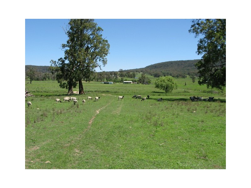 Mudgee NSW 2850