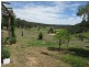 15  Woorawa Road, Mudgee NSW 2850