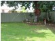 Mudgee NSW 2850