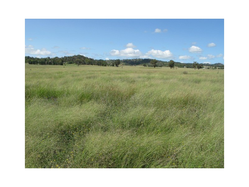 Mudgee NSW 2850