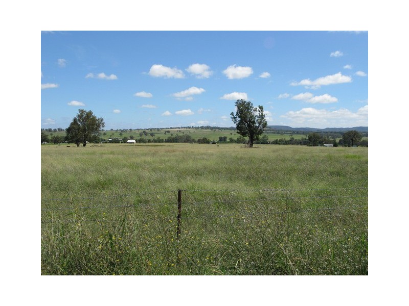 Mudgee NSW 2850