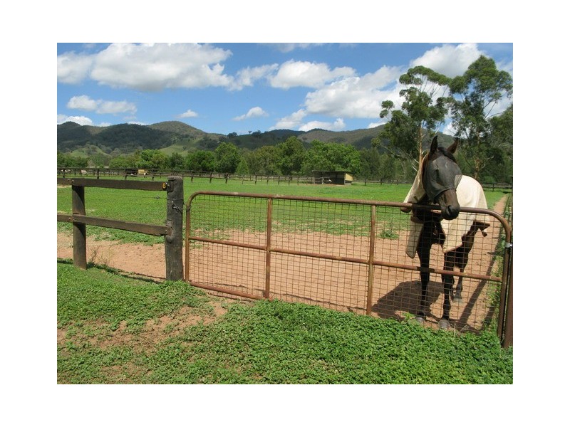 217 Spring Flat South Lane, Mudgee NSW 2850