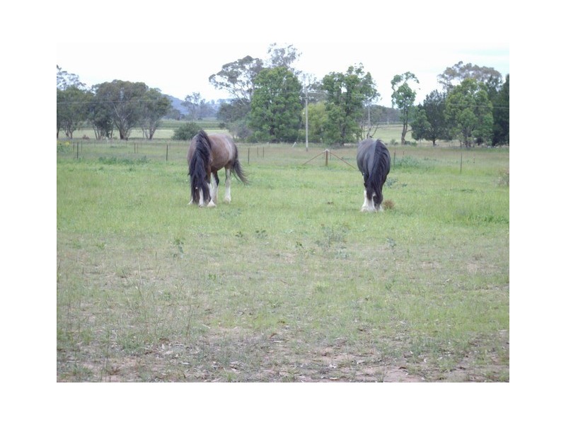 Mudgee NSW 2850