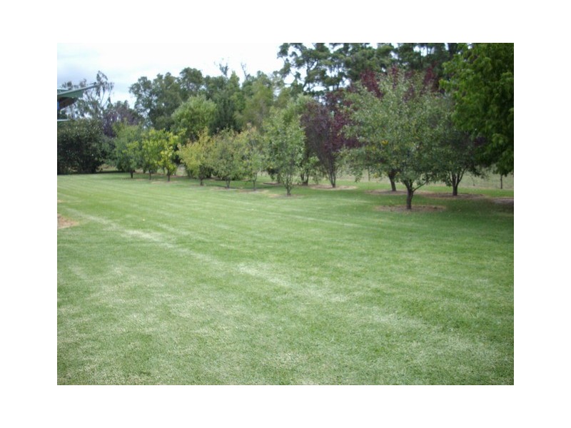 Mudgee NSW 2850