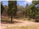 Mudgee NSW 2850