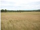 Mudgee NSW 2850