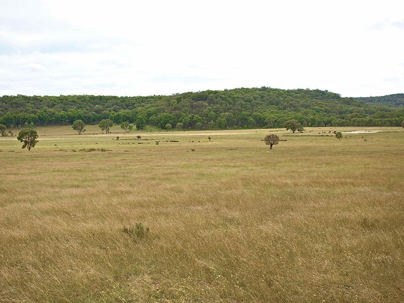 Mudgee NSW 2850