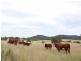 Mudgee NSW 2850