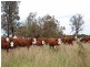 Mudgee NSW 2850