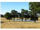Mudgee NSW 2850