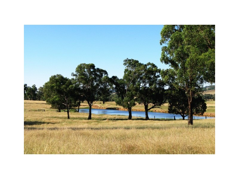 Mudgee NSW 2850