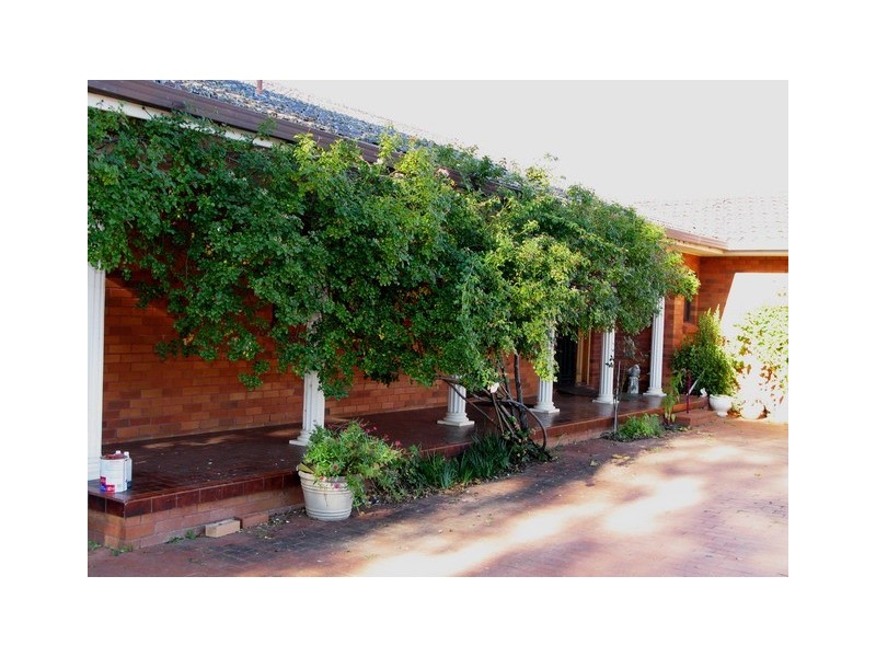 Mudgee NSW 2850