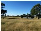 Mudgee NSW 2850