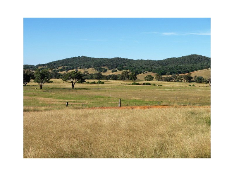 Mudgee NSW 2850